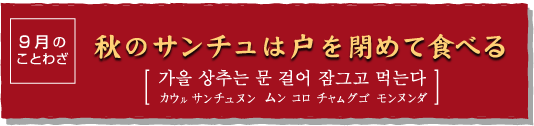 モランボン 薬念研究所 韓国の食文化 ９月のことわざ 秋のサンチュは戸を閉めて食べる