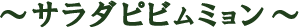 �T���_�s�r���~����